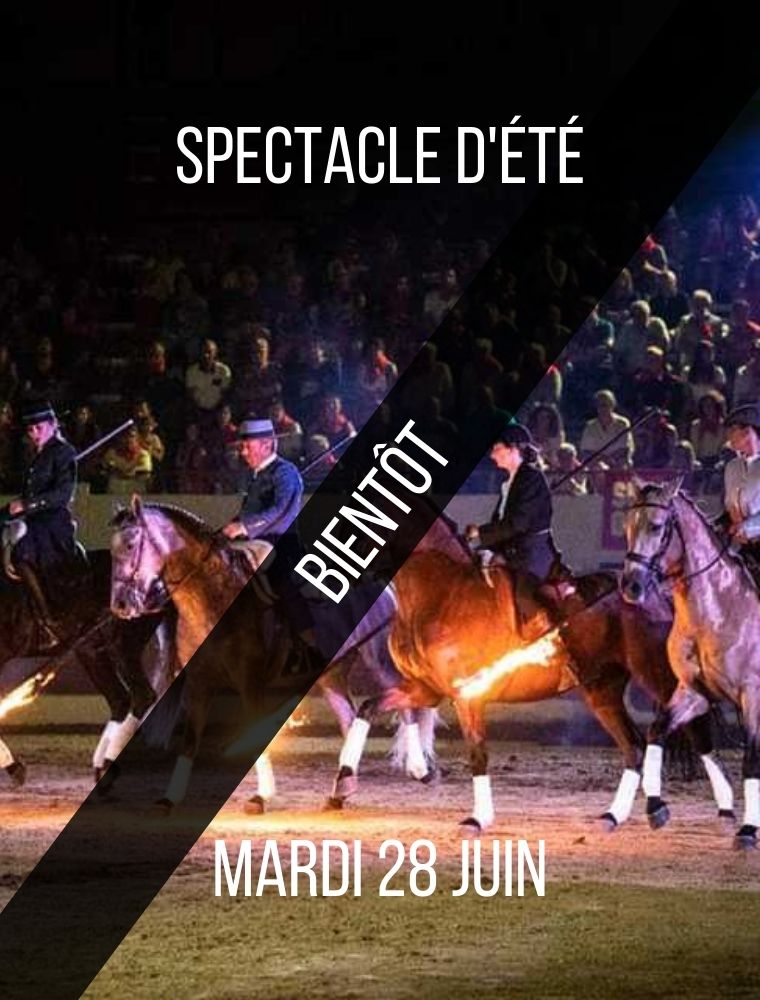 Le Domaine El Campo propose des spectacles équestres durant la saison estivale