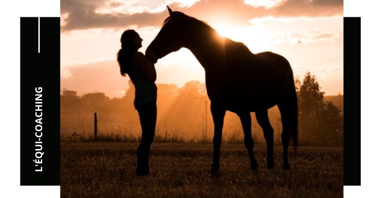 Faites découvrir le cheval et l'équitation à vos collègues lors d'un séminaire ou d'un team building dans les landes